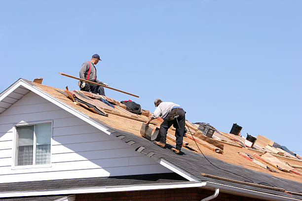 Best Roof Restoration  in USA